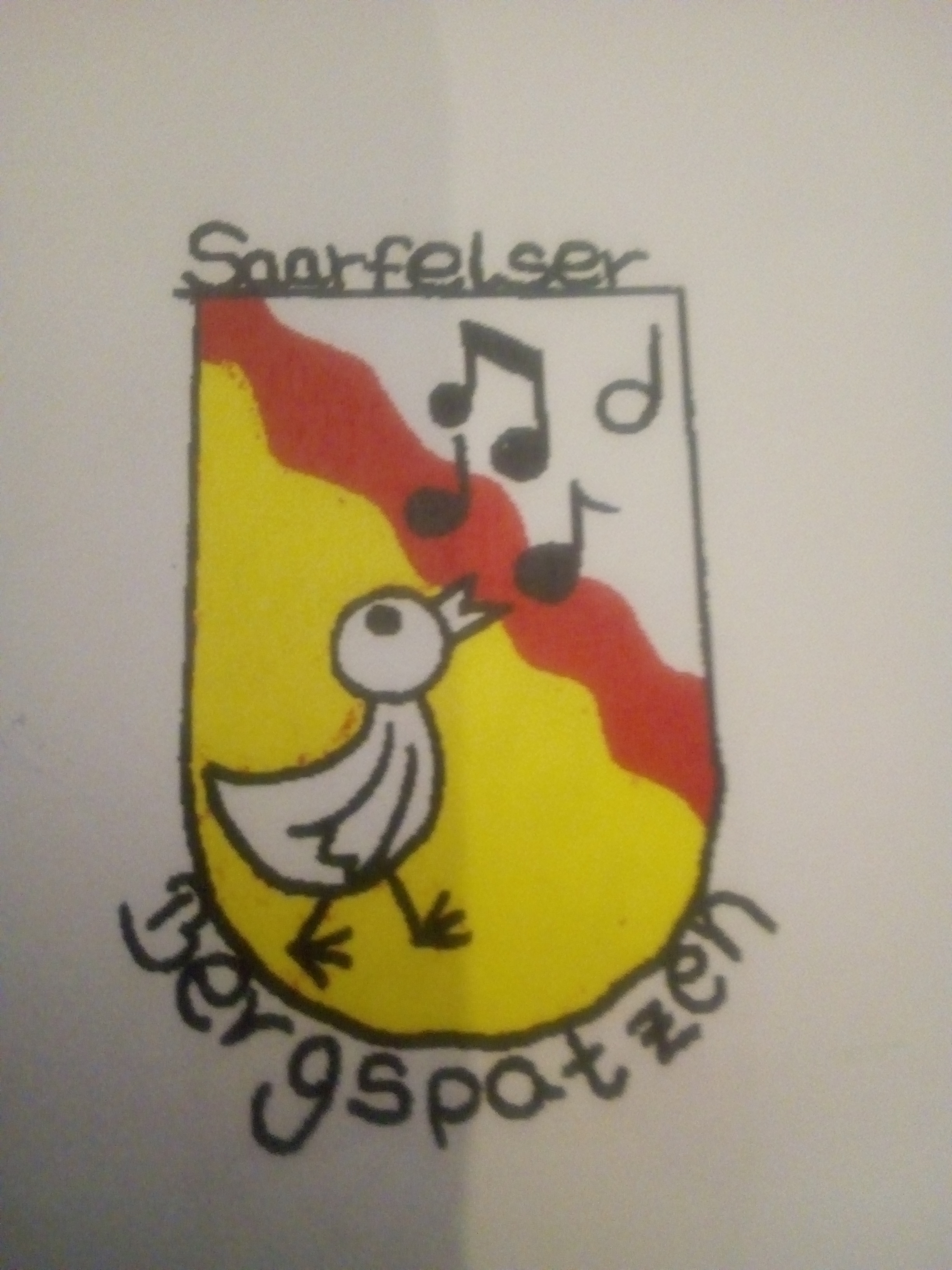 Profilbild des Vereins Kinder- und Jugendchor Saarfelser Bergspatzen